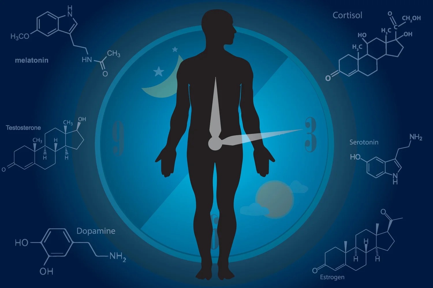 Improve Your Sleep by Decoding Your Circadian Clocks